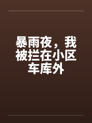 暴雨夜，我被拦在小区车库外
