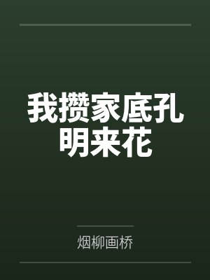 我攒家底孔明来花