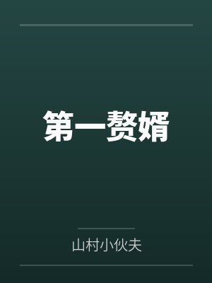 第一赘婿