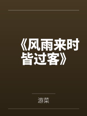 《风雨来时皆过客》