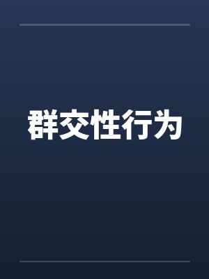 群交性行为