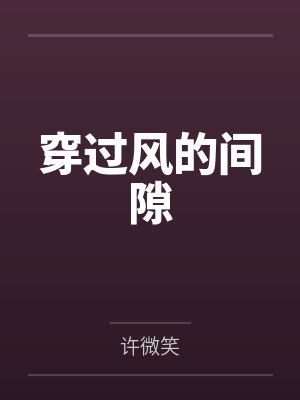 穿过风的间隙by许微笑