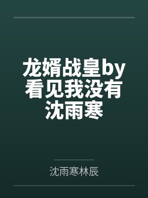 龙婿战皇by看见我没有沈雨寒