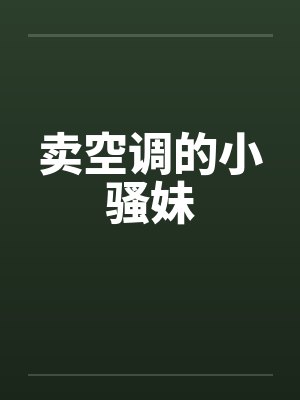 卖空调的小骚妹