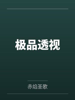 极品透视